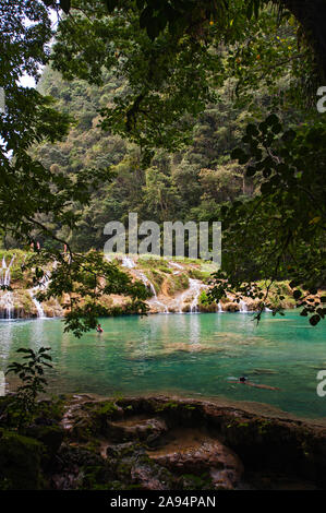 Semuc Champey, Guatemala Banque D'Images