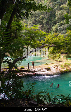 Semuc Champey, Guatemala Banque D'Images