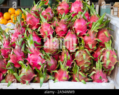 Close up of fruit du dragon dans des bacs empilés avec des oranges dans l'arrière-plan vendu à un marché en plein air, Viêt Nam. Banque D'Images