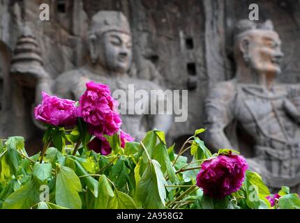 Zhengzhou. Feb 8, 2019. Photo prise le 8 février 2019, montre les statues dans la région des grottes de Longmen à Luoyang, Chine centrale, la province du Henan. Un crédit : Li/Xinhua/Alamy Live News Banque D'Images