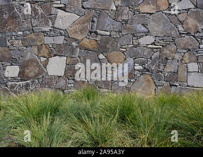 La plantation massive de graminées dans un paysage contre un mur de pierre sur une journée ensoleillée Banque D'Images