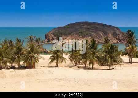 Palm beach près de Mui Ne, Mer de Chine du Sud, Vietnam Banque D'Images