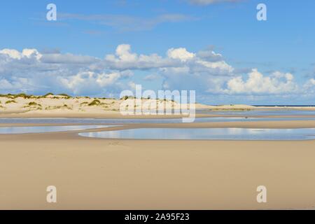 L'eau et sur les dunes de Kniepsand, Amrum, au nord de l'île de la Frise, Frise du Nord, Schleswig-Holstein, Allemagne Banque D'Images