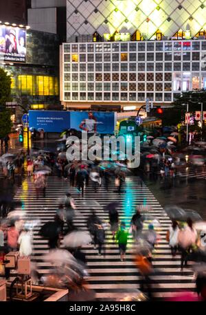 Foule avec des parasols sur les traversées de nuit, crossing croisement de Shibuya, Shibuya, Tokyo, Japon Banque D'Images