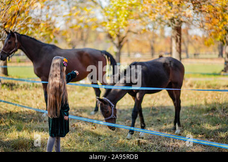 Happy girl de caresser un cheval, debout près de la clôture dans l'étable. Un enfant sur l'arrière-plan d'un cheval et poulain. Banque D'Images