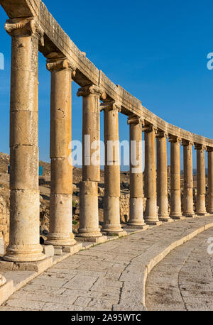 Colonnes ioniques à Oval Plaza (Forum), Jerash, Jordanie Banque D'Images