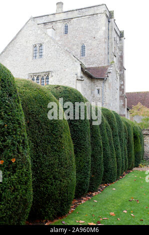 Une touche d'Hegde à côté de la tour de Beaufort, dans le jardin des maîtres, à l'Hôpital de Saint Croix, Winchester Banque D'Images