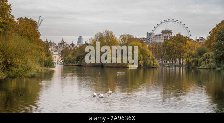L'automne vue depuis le parc de St James, London, UK, Londres avec le London Eye en arrière-plan. Banque D'Images