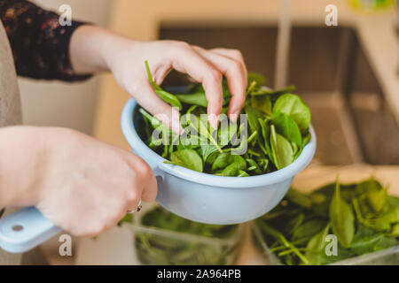 Le cuisinier ajoute des épinards juteux mûr dans un bol avec de la salade - Alimentation saine Banque D'Images