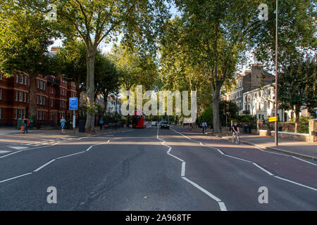 Avenue de Londres platanes (Platanus x hispanica), Kennington Lane, Londres SE1 Banque D'Images