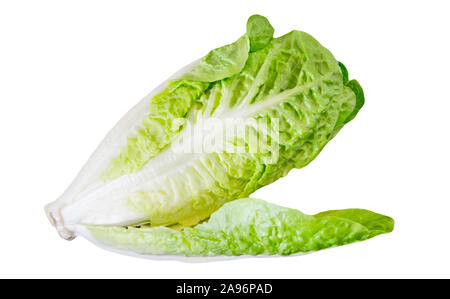 Salade Romana against white background Banque D'Images