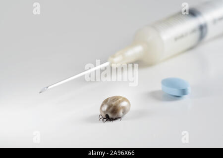 Tique gorgée de sang, seringue remplie de vaccin et pilule bleue sur fond blanc Banque D'Images