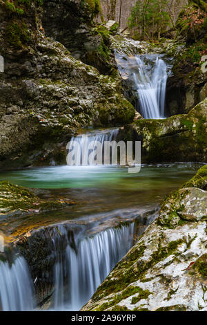 Belle cascades du ruisseau de montagne fraîche dans forêt d'automne Banque D'Images