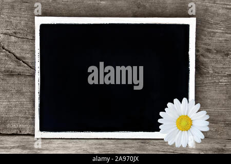 Planche de bois avec daisy close up Banque D'Images