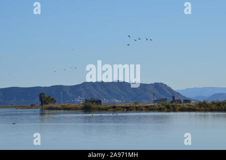 Parc naturel de s'Albufera, une zone humide d'importance internationale dans la région de Valence, est de l'Espagne Banque D'Images