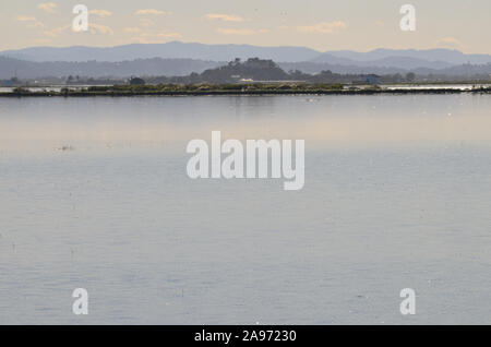 Parc naturel de s'Albufera, une zone humide d'importance internationale dans la région de Valence, est de l'Espagne Banque D'Images