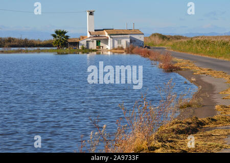 Parc naturel de s'Albufera, une zone humide d'importance internationale dans la région de Valence, est de l'Espagne Banque D'Images