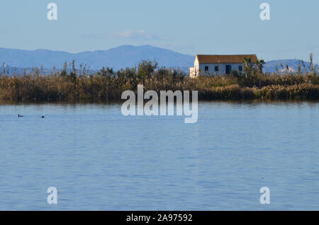 Parc naturel de s'Albufera, une zone humide d'importance internationale dans la région de Valence, est de l'Espagne Banque D'Images