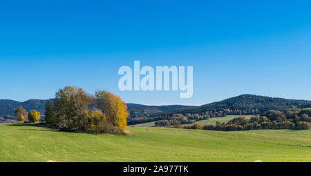 Les arbres d'automne ensoleillée sur un alpage. Ciel bleu clair. Sur l'herbe verte dans la prairie naturelle du paysage rural avec vue sur des collines boisées. Panorama pittoresque. Banque D'Images