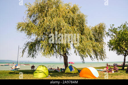 Balatonlelle, Hungary-June 2019. Dans l'herbe dans une journée d'été près du lac de la ville dans une journée ensoleillée. Banque D'Images