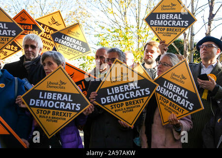 Le nord de Londres, Royaume-Uni. 13 Nov, 2019. Les membres du parti et les partisans du Parti libéral-démocrate de la campagne avec des pancartes Au nord de Londres. Credit : Dinendra Haria/Alamy Live News Banque D'Images