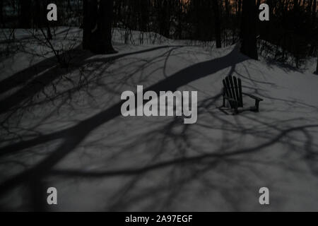 Lune dans la Snowy Woods Banque D'Images
