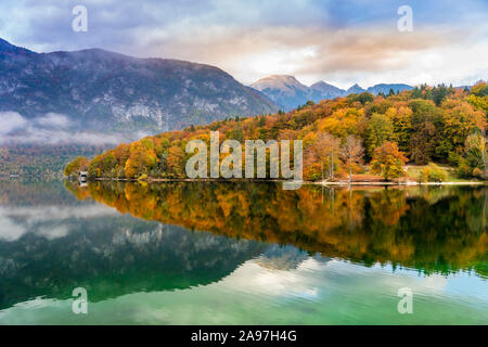 Lac de Bohinj avec la couleur des feuilles d'automne, la Slovénie, l'Europe. Banque D'Images