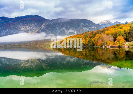 Lac de Bohinj avec la couleur des feuilles d'automne, la Slovénie, l'Europe. Banque D'Images