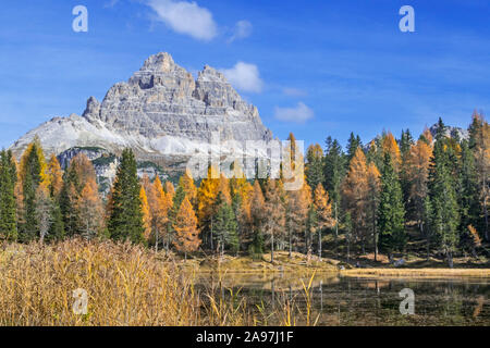 Mountain Drei Zinnen et mélèzes en couleurs d'automne autour du lac Lago d'Antorno dans le Tre Cime, Parc Naturel, Dolomites Tyrol du Sud, Italie Banque D'Images