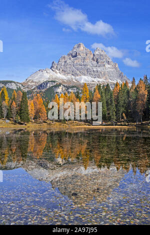 Mountain Drei Zinnen et le mélèze arbres se reflétant dans l'eau du lac Lago d'Antorno dans le Tre Cime Parc naturel dans l'automne, Dolomites, Tyrol du Sud, Italie Banque D'Images