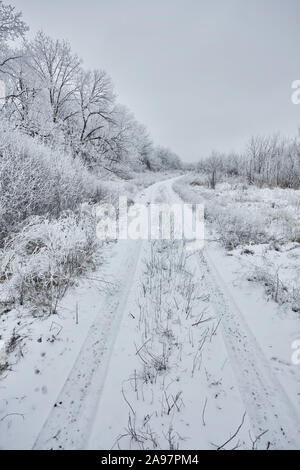 Paysage gelé. Un chemin de terre s'enfonce dans la forêt. Sur ce froid matin d'hiver, les buissons, les arbres et les clôtures sont couverts de givre. Banque D'Images