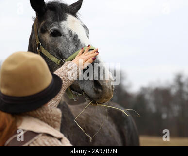 Cheval, beau cheval polonais, femme dans un chapeau avec un cheval Banque D'Images