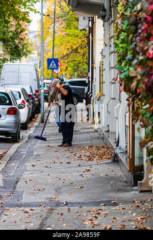 Vieil homme raking feuilles tombées dans la rue, senior man gardening durant la saison d'automne, le nettoyage du trottoir à Bucarest, Roumanie, 2019 Banque D'Images