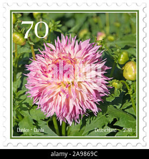 Timbre-poste avec motif dahlia Banque D'Images