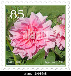 Timbre-poste avec motif dahlia Banque D'Images