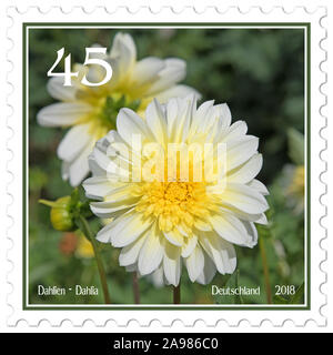 Timbre-poste avec motif dahlia Banque D'Images