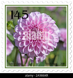 Timbre-poste avec motif dahlia Banque D'Images