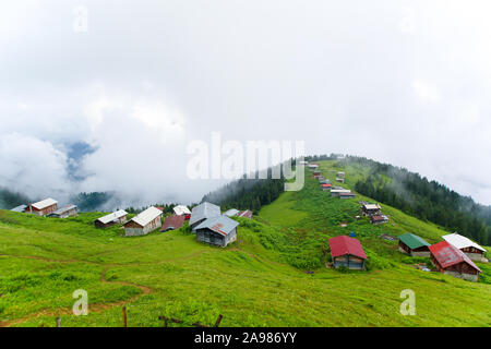 Maisons de village, nuages et l'herbe verte au Plateau Pokut de Rize, Turquie. Région de la mer Noire. Banque D'Images