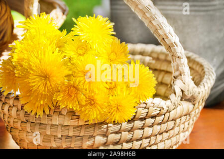 Le pissenlit et panier close up Banque D'Images