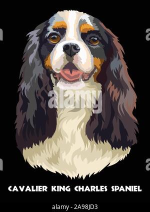 Portrait réaliste de chien Cavalier King Charles Spaniel. Dessin vectoriel coloré illustration isolé sur fond noir. Illustration de Vecteur