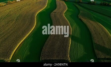 Vue aérienne de terres agricoles rurales et des paysages variés au coucher du soleil avec le maïs et la luzerne, les contours des cultures, à l'extérieur de Monroe, Wisconsin, États-Unis Banque D'Images