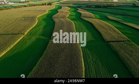 Vue aérienne de terres agricoles rurales et des paysages variés au coucher du soleil avec le maïs et la luzerne, les contours des cultures, à l'extérieur de Monroe, Wisconsin, États-Unis Banque D'Images