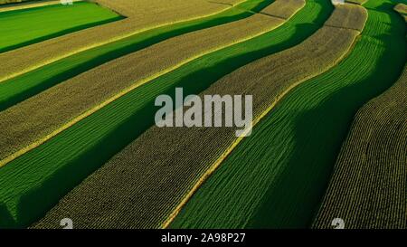 Vue aérienne de terres agricoles rurales et des paysages variés au coucher du soleil avec le maïs et la luzerne, les contours des cultures, à l'extérieur de Monroe, Wisconsin, États-Unis Banque D'Images