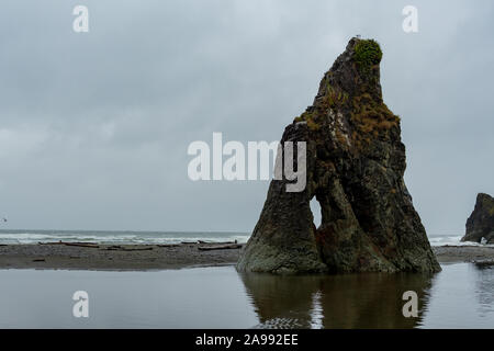 Rock Formations sur Ruby Beach le long de la côte de Washington Banque D'Images