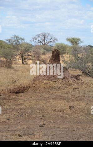 Grande termitière sur le terrain. Vu lors d'un safari africain en Tanzanie. Banque D'Images