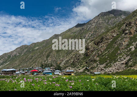 Chitkool Village, dernier village habité près de la frontière indo-chinoise. Himachal Pradesh, Inde Banque D'Images