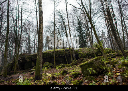 Un bunker de la DEUXIÈME GUERRE MONDIALE vu à la Wolf's Lair complexe dans la forêt Srokowo.Après un article publié par la BBC que la gestion du Wolf's Lair envisage de construire un parc d'amusement au quartier général d'Adolf Hitler, ce qui pourrait changer en un "parc à thème nazi', cette information a été immédiatement rejetée. Ces autorités, c'est aux côtés de rénovations, qui verra l'bâtiments restaurés ainsi que l'ajout d'un bâtiment d'accès, restaurants et aussi de nouveaux chemins de randonnées sont prévus d'être construit. Le Wolf's Lair (allemand : Wolfsschanze, Polonais : Wilczy Szaniec) a été Banque D'Images