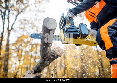 En bois de sciage sciage bûcheron professionnel avec une tronçonneuse, close-up view avec une sciure Banque D'Images