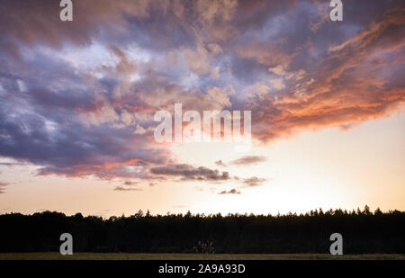 Cloudscape spectaculaire au-dessus d'une forêt d'ossature au coucher du soleil. Banque D'Images