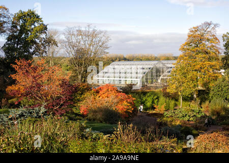 Le Glasshouse, RHS Wisley Gardens en automne Banque D'Images